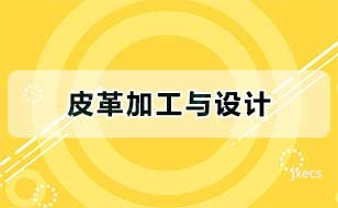皮革加工与设计图片展示