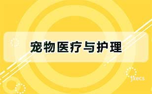 宠物医疗与护理图片展示