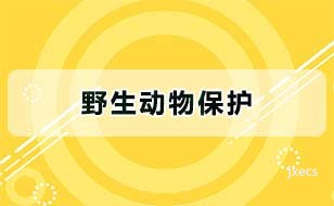 野生动物保护图片展示