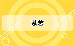 茶艺图片展示