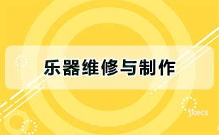 乐器维修与制作图片展示