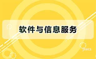 软件与信息服务