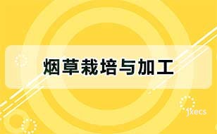 烟草栽培与加工图片展示