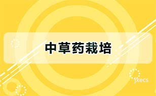 中草药栽培