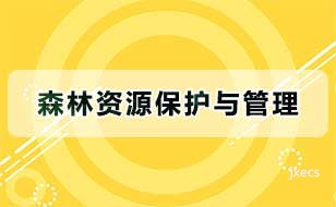 森林资源保护与管理图片展示